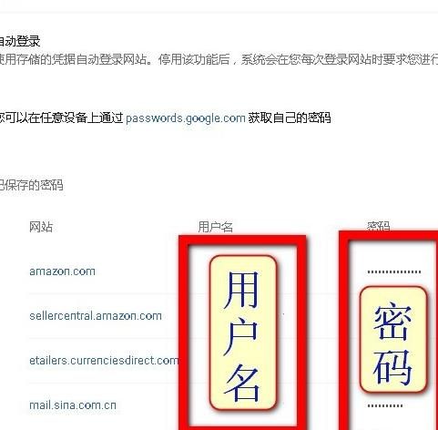 Chrome浏览器可以查看登录密码吗？Chrome浏览器怎么查看登录密码[多图]