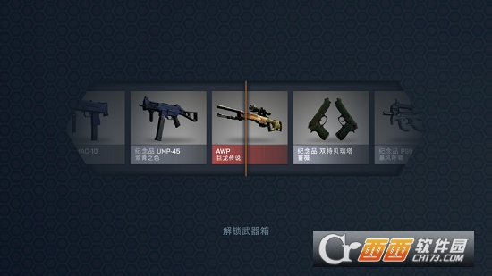 CaseOpener(CSGO开箱模拟器中文版)