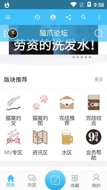 猫爪论坛app