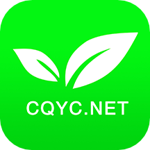 茶竹永川网app