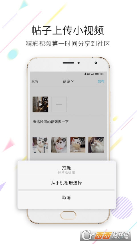 嘉兴第九区app