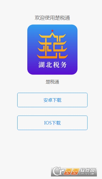 湖北税务app交医保