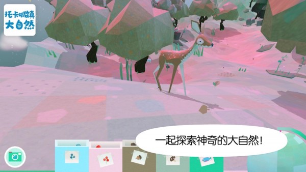 托卡城镇大自然内购版