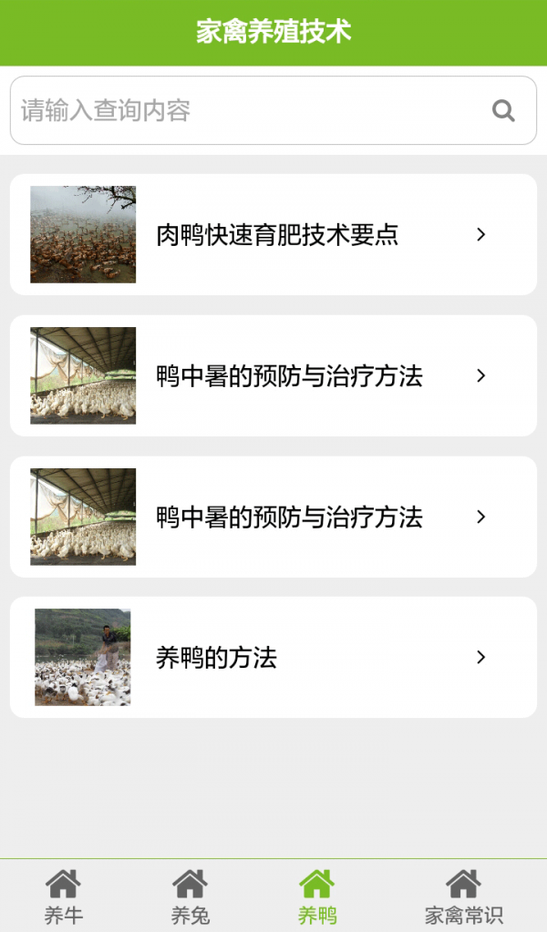 家禽养殖技术
