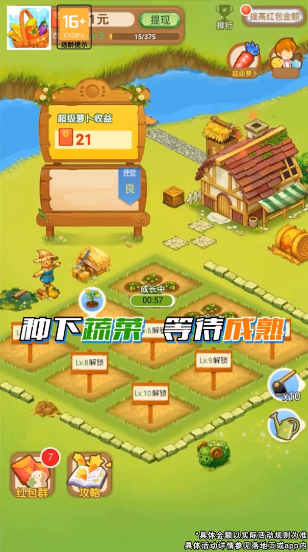 蔬菜大丰收