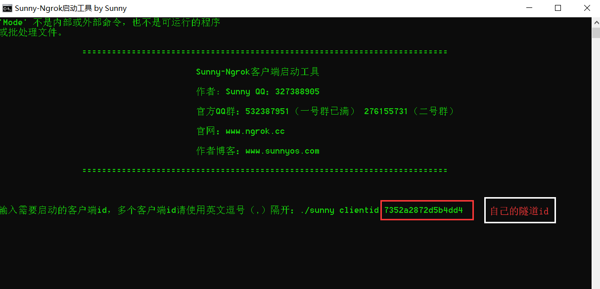 ngrok-gui内网穿透工具