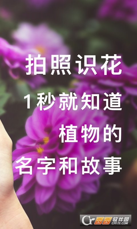 形色app(识花神器)