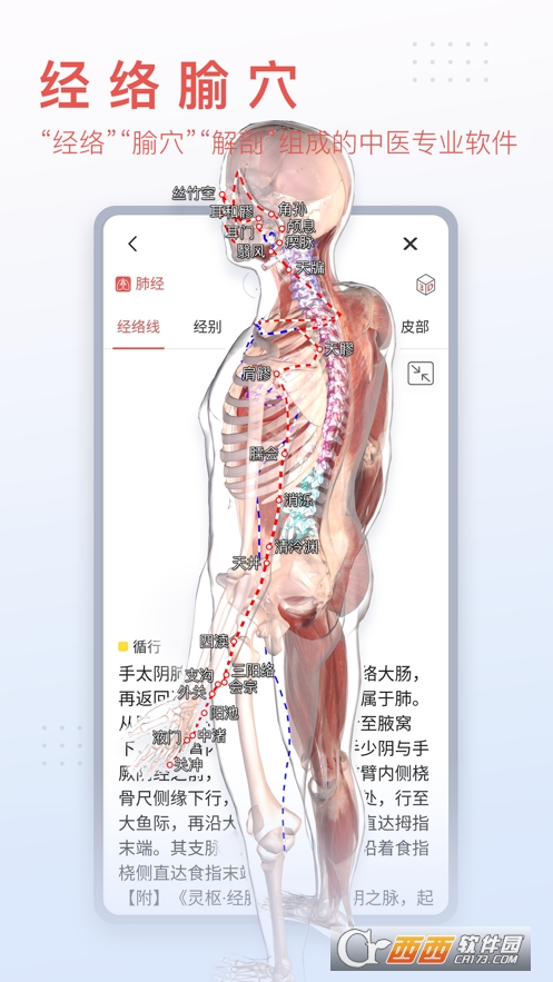 3Dbody解剖安卓版