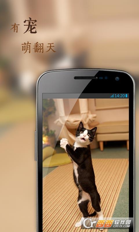 花瓣网素材图库