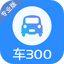 车300专业版