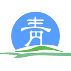青海政务服务网app