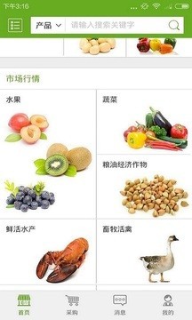 麦田计划