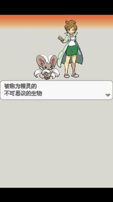 口袋妖怪白2