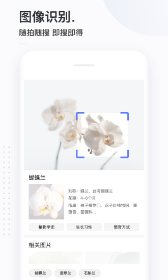 简单搜索本