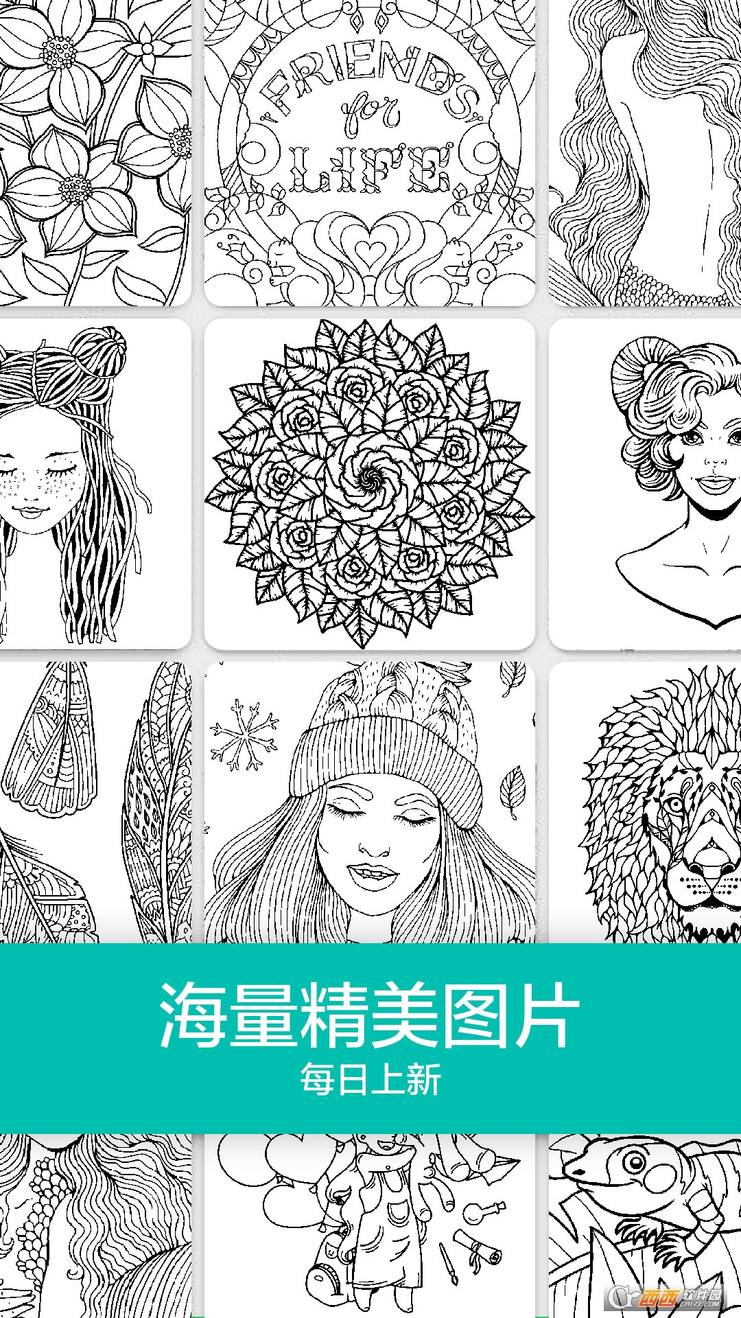 数字填色秘密花园