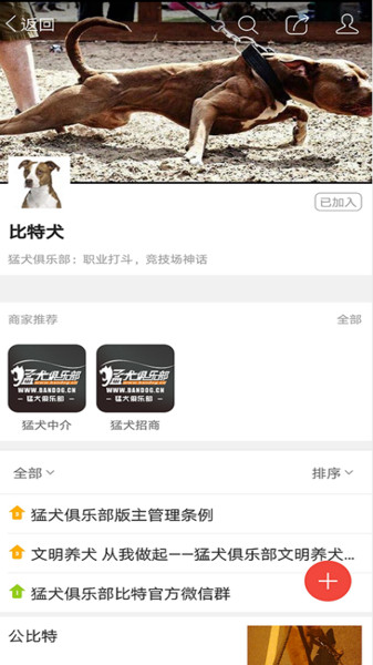 猛犬俱乐部