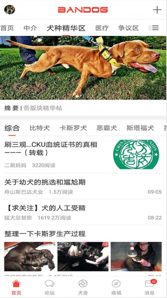 猛犬俱乐部