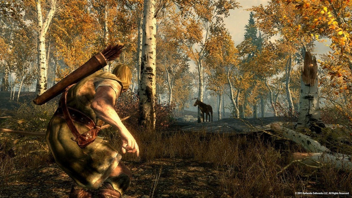 上古卷轴5（The Elder Scrolls
