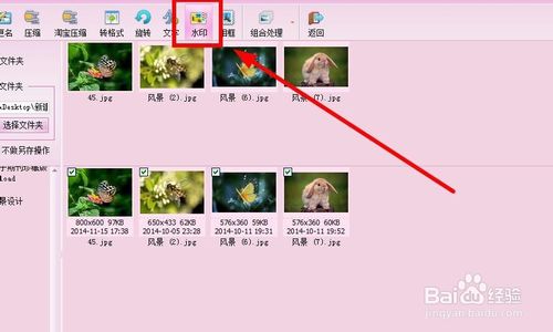 iSee图片专家