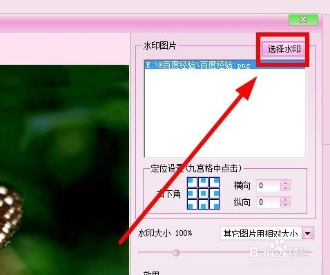 iSee图片专家