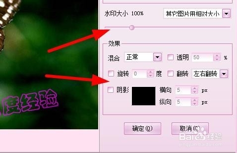 iSee图片专家