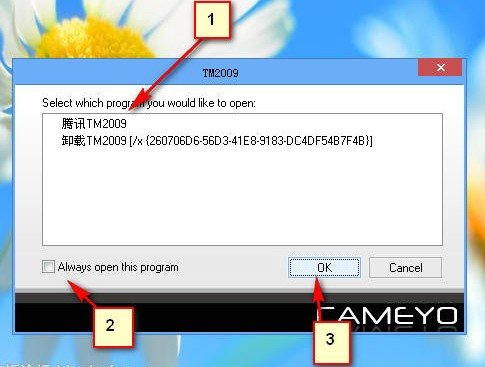 TM2009 Beta3.4精简版
