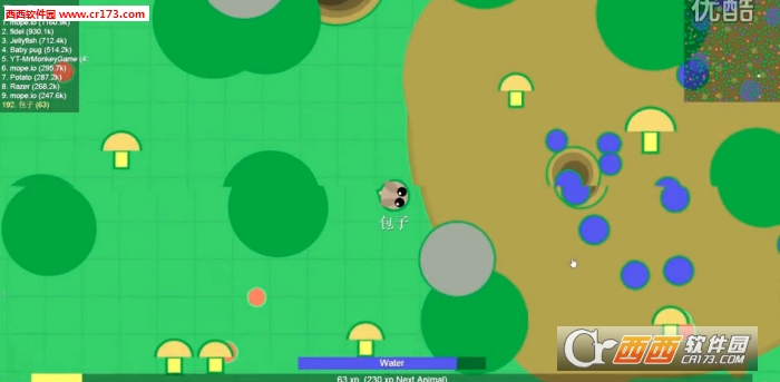 mope.io