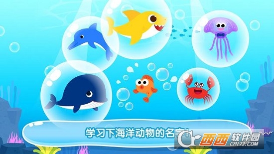 碰碰狐鲨鱼宝宝