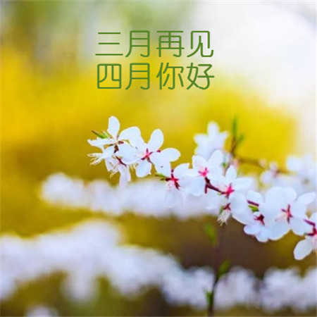 3月再见4月你好朋友圈说说图片 3月再见4月你好图片大全