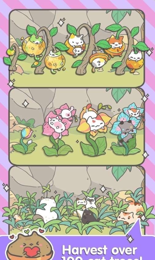 我的小猫花红包版