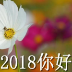 2018你好图片大全   2018你好带字说说图片大全