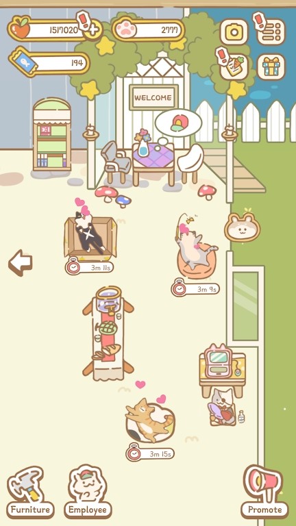 猫精灵护理店