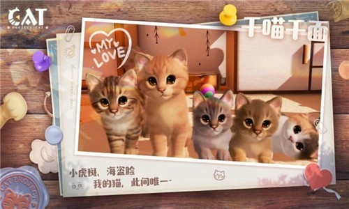 Project Cat
