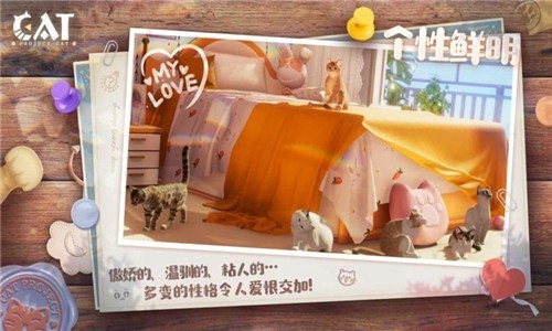 Project Cat