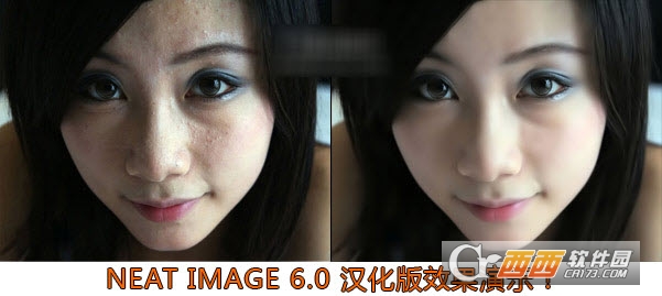 Neat Image滤镜