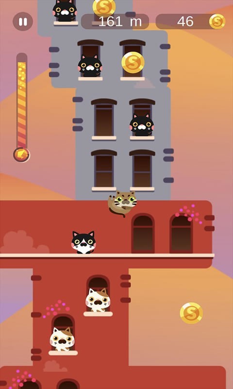 猫猫跳