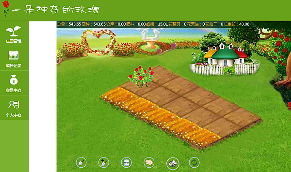 玫瑰乐园