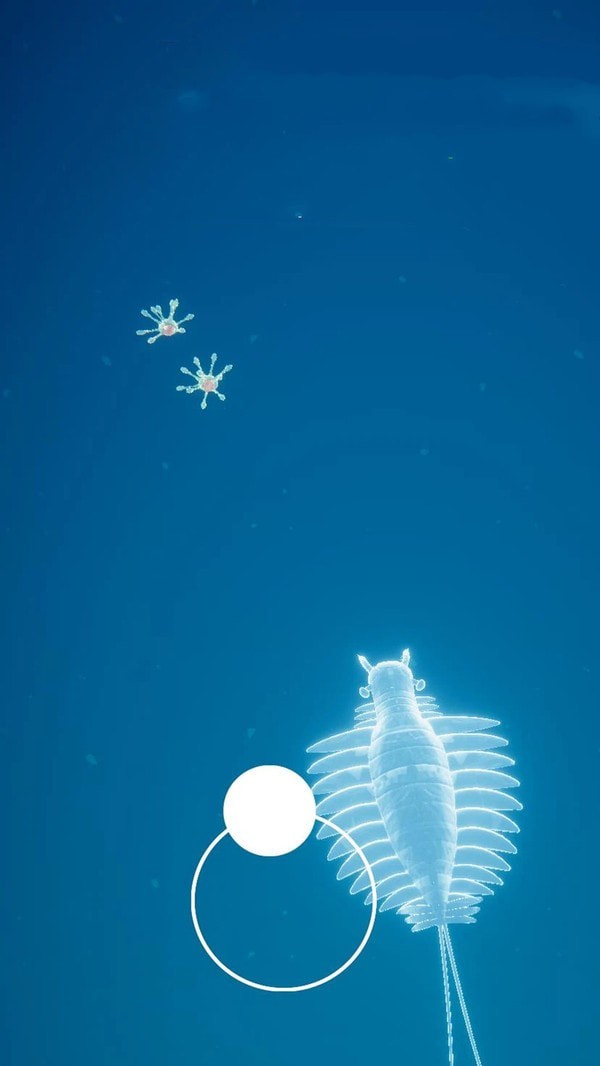 生物进化