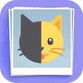 猜猜这是啥无限金币版
