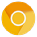 Google Chrome Canary