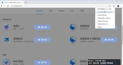 迅雷下载支持插件