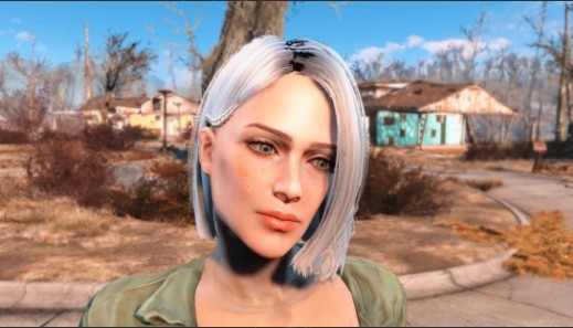 辐射4随机女性预设9MOD