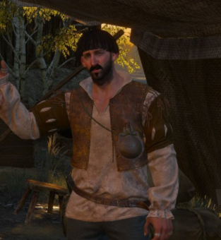 巫师3狂猎快速跳过对话框MOD