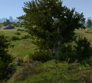 巫师3狂猎树木灌木颜色更深MOD