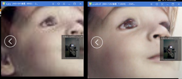 Topaz Gigapixel AI(图片无损放大软件)