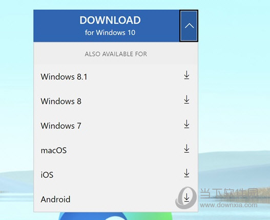 edge浏览器win10版