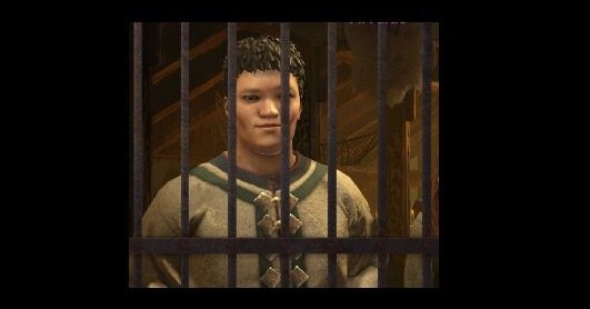 十字军之王3保释任何人出狱MOD