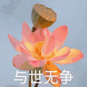 摸鱼锁(窗口自动隐藏)