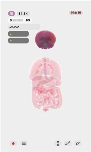 生命人体模拟器