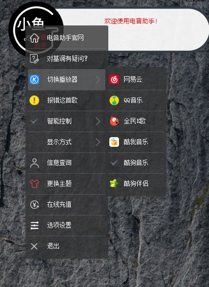 小鱼电音助手